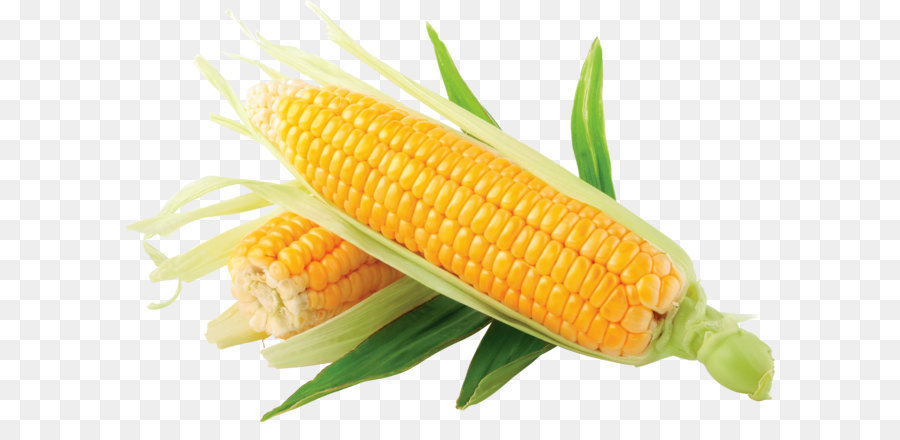 Maize Corn on the cob Clip art - Corn PNG image png download - 3506*2274 - Free Transparent Corn On The Cob png Download.