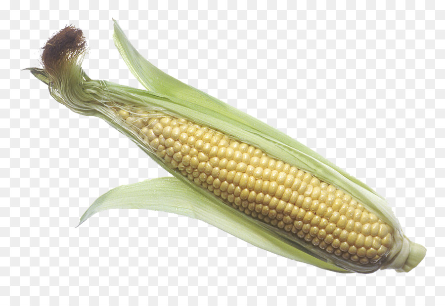 Corn on the cob Maize Sweet corn Corncob Clip art - Corn (Maize) PNG Transparent Images png download - 958*639 - Free Transparent Corn On The Cob png Download.