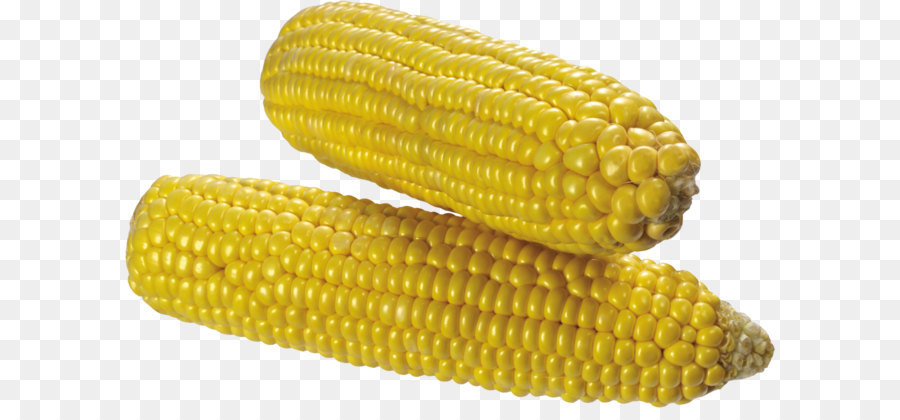 Corn on the cob Corn kernel Sweet corn Maize Corncob - Corn PNG image png download - 3377*2121 - Free Transparent Corn On The Cob png Download.