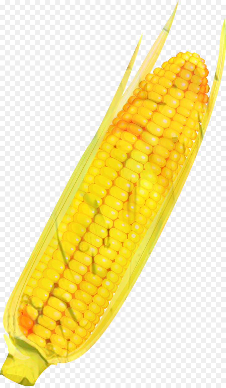 Corn on the cob Commodity -  png download - 1201*2044 - Free Transparent Corn On The Cob png Download.
