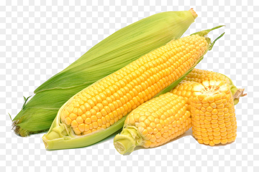 Corn on the cob Maize Sweet corn - Sweet corn corn png download - 1024*664 - Free Transparent Corn On The Cob png Download.