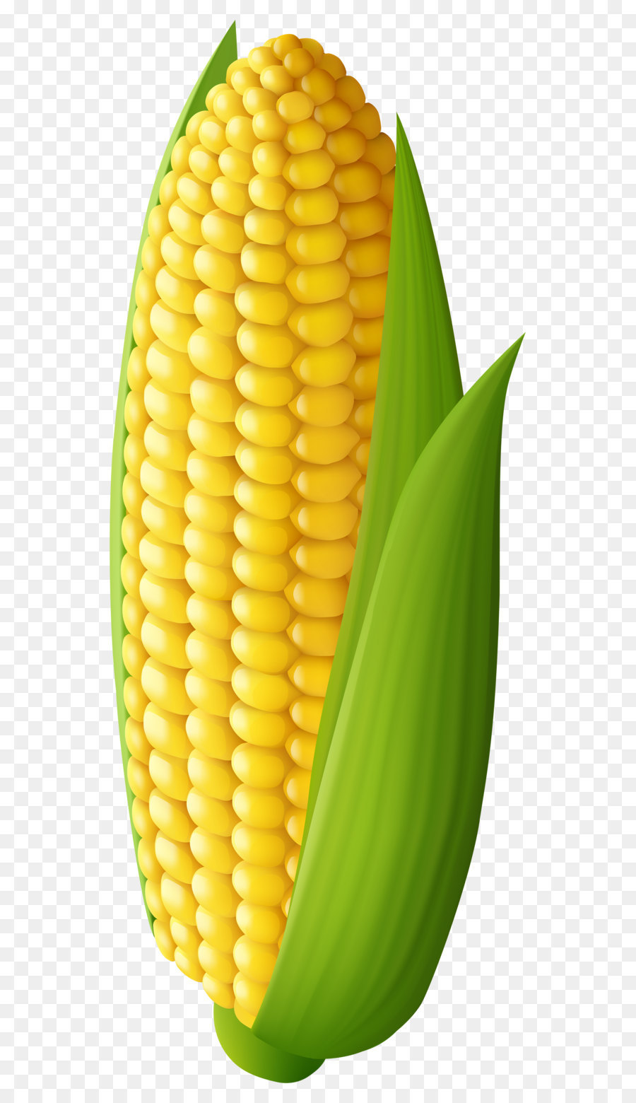 Corn on the cob Maize Clip art - Corn Transparent PNG Clip Art Image png download - 2509*6000 - Free Transparent Corn On The Cob png Download.