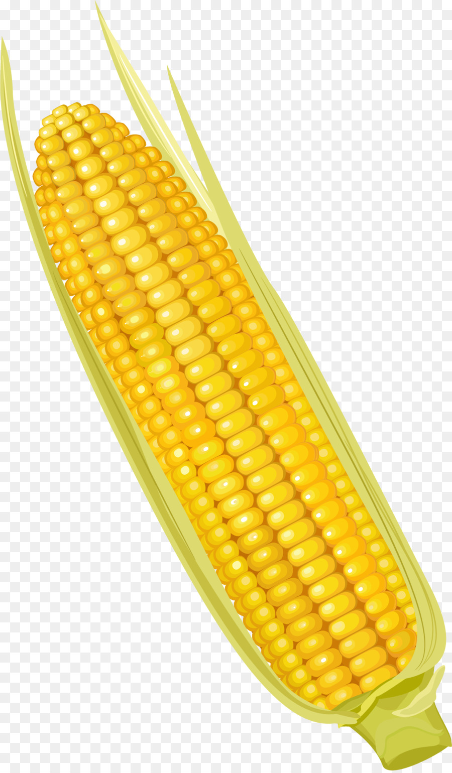 Corn on the cob Maize Corncob Vegetable - Cartoon yellow corn png download - 1201*2048 - Free Transparent Corn On The Cob png Download.