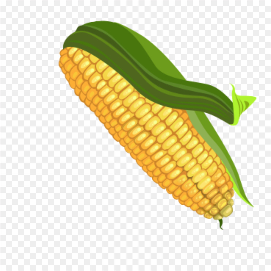 Corn on the cob Maize Color Palette - corn png download - 1773*1773 - Free Transparent Corn On The Cob png Download.