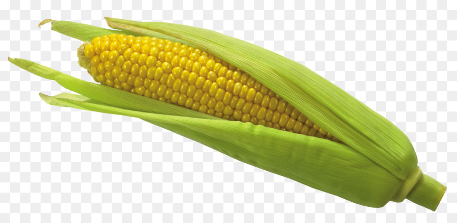 Corn on the cob Flint corn Sweet corn Clip art - Transparent Corn PNG png download - 3120*1483 - Free Transparent Corn On The Cob png Download.