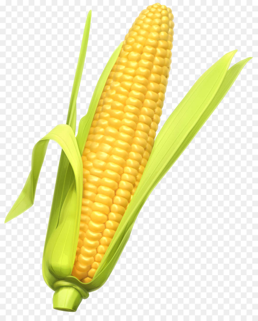 Corn on the cob Maize Vegetable Clip art - corn png download - 2863*3500 - Free Transparent Corn On The Cob png Download.