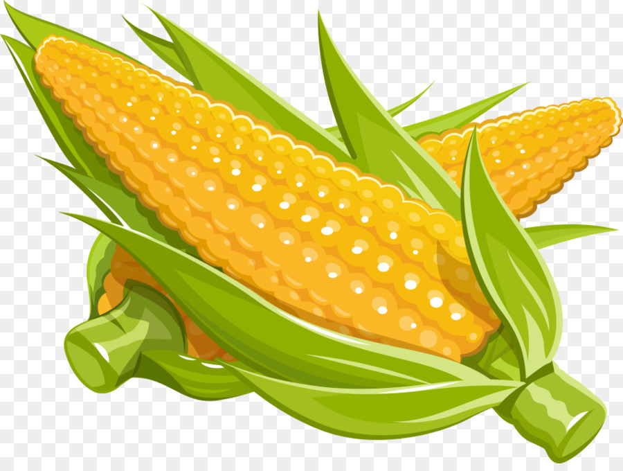 Maize Royalty-free Illustration - Vector cartoon corn png download - 934*694 - Free Transparent Maize png Download.