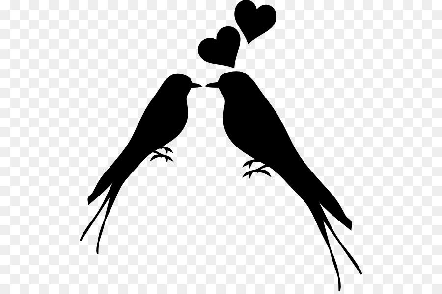 Lovebird Kiss Silhouette Clip art - Bird png download - 576*595 - Free Transparent Bird png Download.