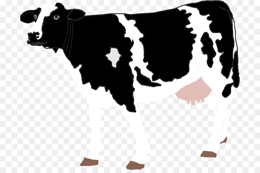 Holstein Friesian cattle Calf Clarabelle Cow Ayrshire cattle Dairy cattle - farm animal png download - 762*590 - Free Transparent Holstein Friesian Cattle png Download.