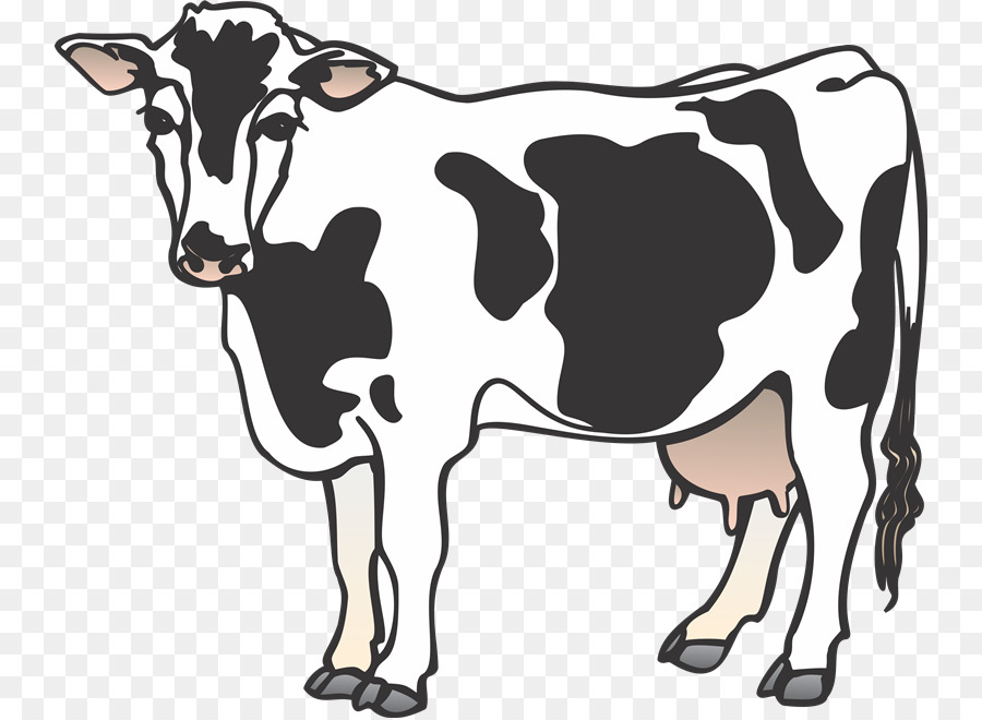 Cattle Clip art - cow png download - 800*658 - Free Transparent Cattle png Download.