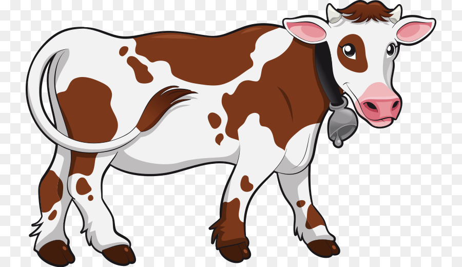 Hereford cattle Angus cattle Beef cattle Clip art - Dairy Cow Cliparts png download - 800*520 - Free Transparent Hereford Cattle png Download.