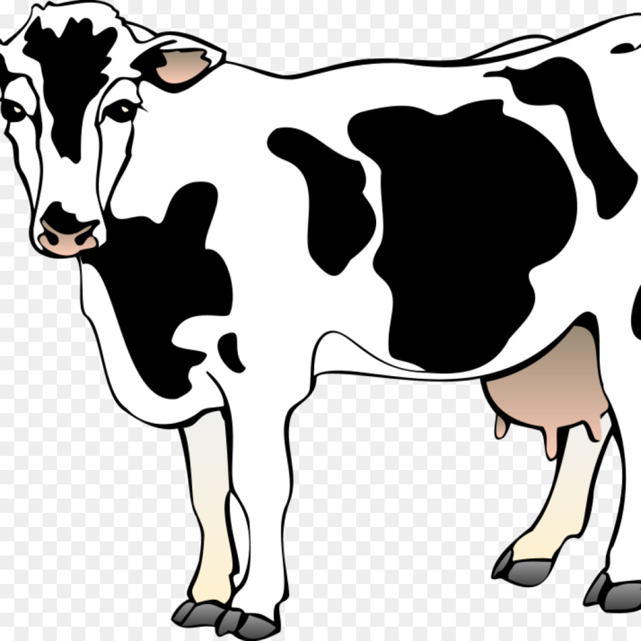 Beef cattle Clip art Openclipart Illustration Image - cartoon drawing wallpaper png download - 1024*1024 - Free Transparent Beef Cattle png Download.
