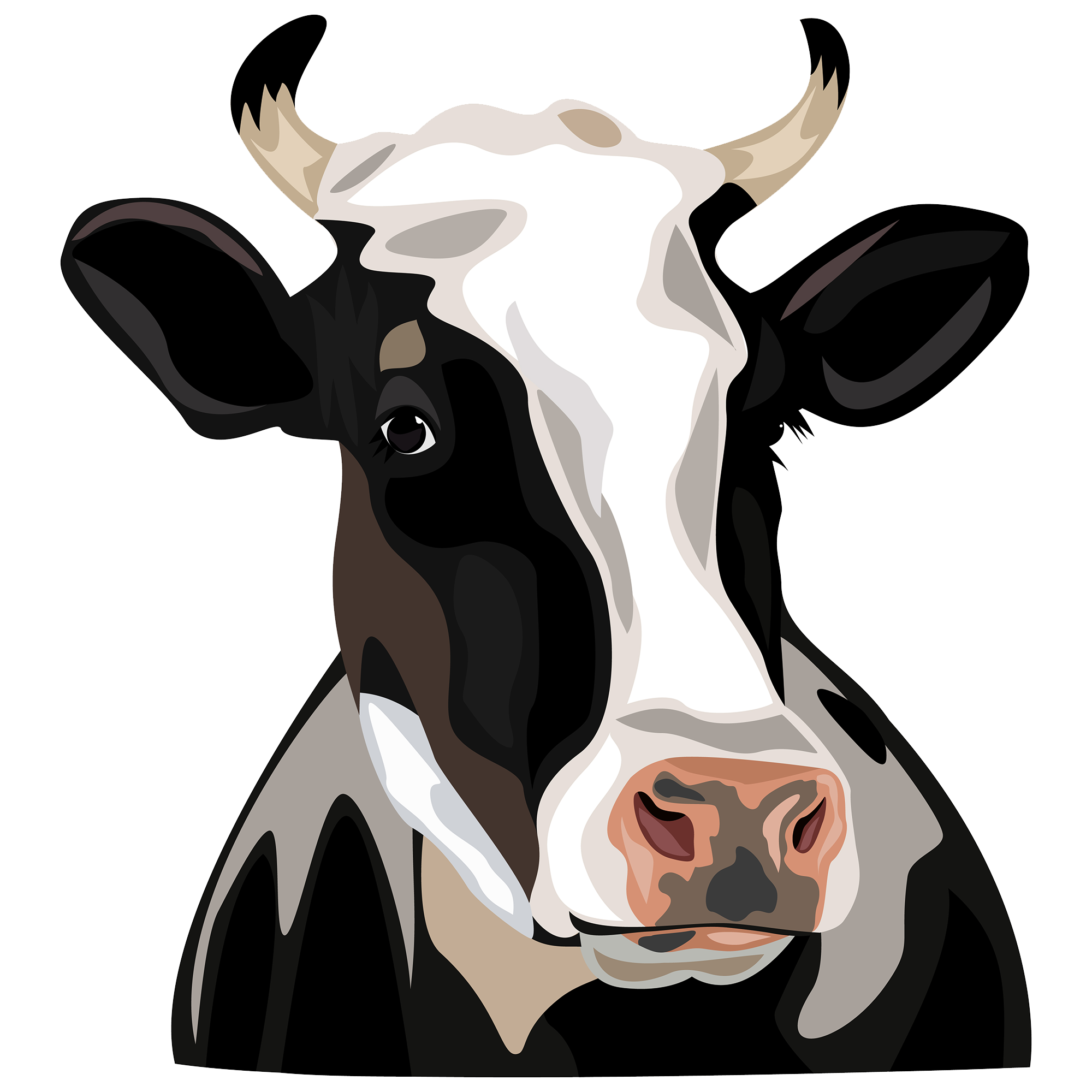 0 Result Images of Cartoon Cow Face Png - PNG Image Collection