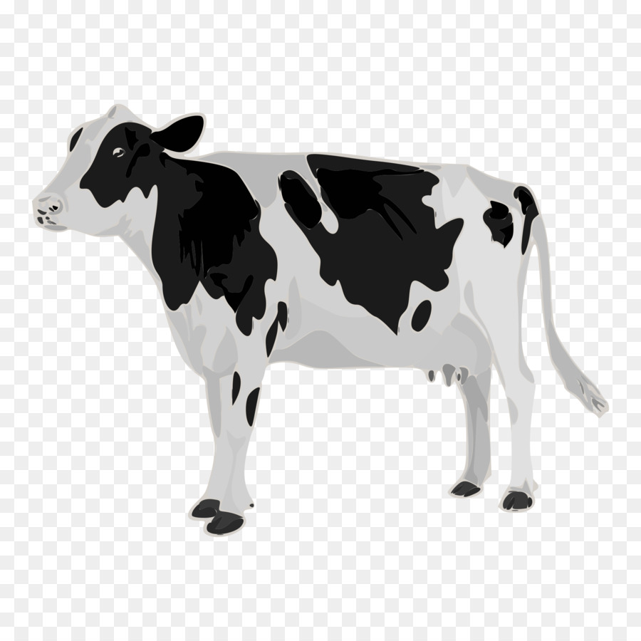 Holstein Friesian cattle Patz Corporation Dairy cattle Calf Teat - holstein ribbon png download - 2000*2000 - Free Transparent Holstein Friesian Cattle png Download.