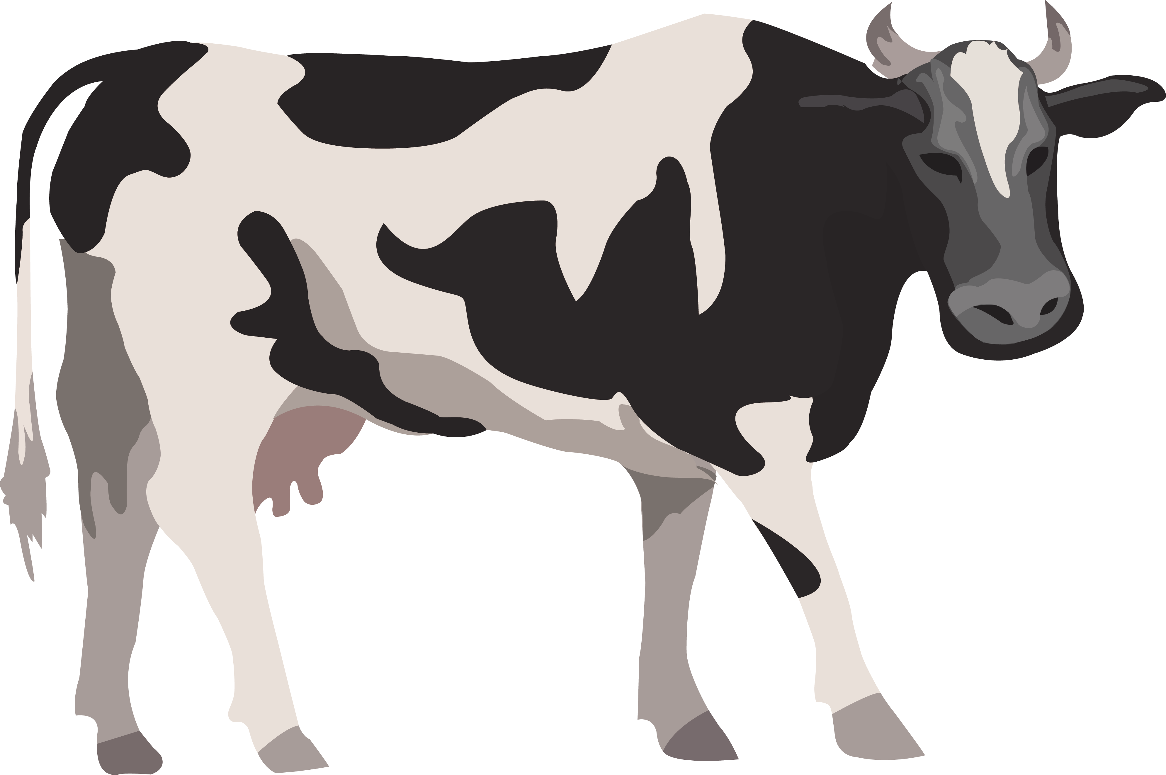 Cow Silhouette Vector 10 