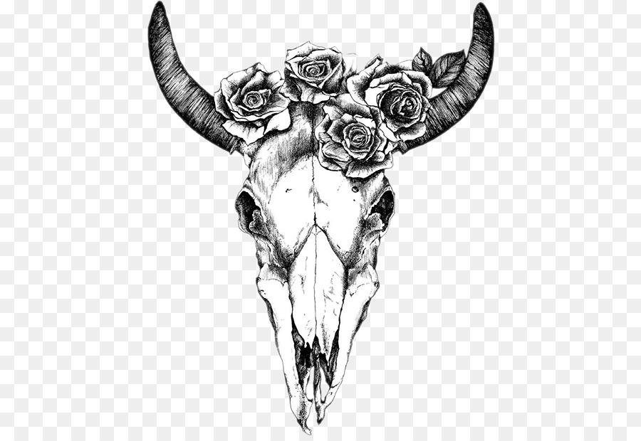 Texas Longhorn Drawing Human skull symbolism Bull - skull png download - 500*620 - Free Transparent Texas Longhorn png Download.