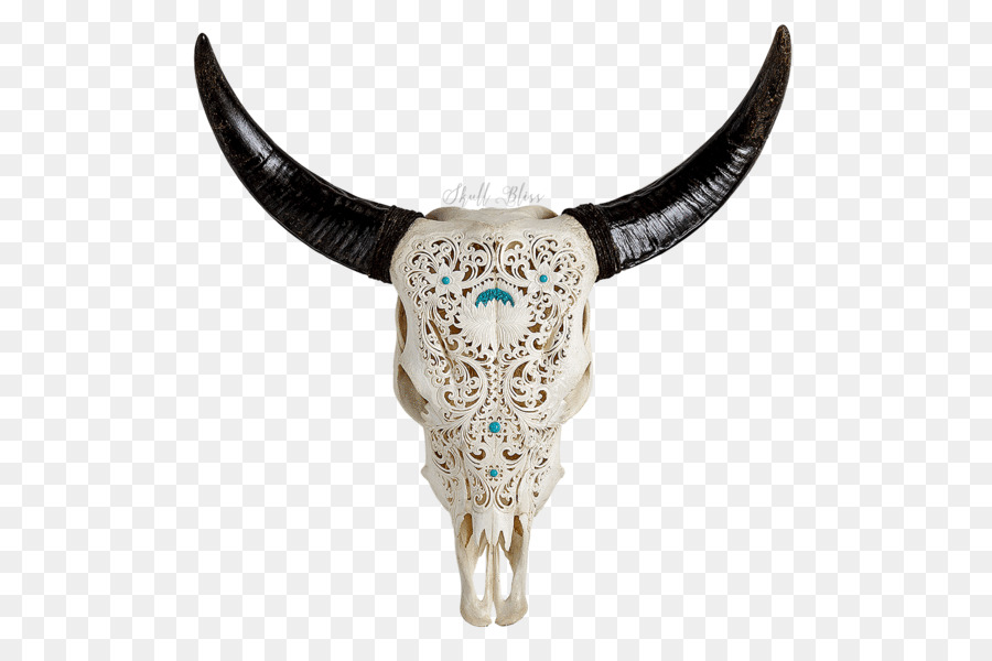 Cow Skull Tribal Cattle XL Horns - skull png download - 600*600 - Free Transparent Skull png Download.