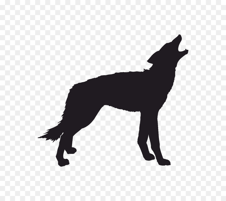Gray wolf Coyote Silhouette Clip art - Silhouette png download - 800*800 - Free Transparent Gray Wolf png Download.