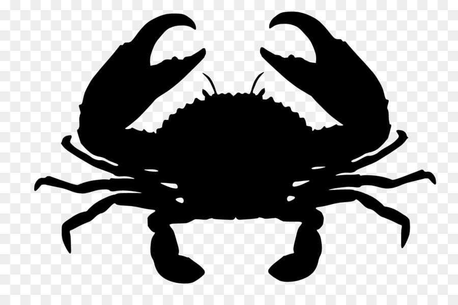 Giant mud crab Chesapeake blue crab Red king crab - crab png download - 1446*935 - Free Transparent Crab png Download.