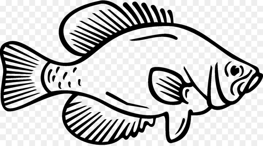 Coloring book White crappie Fish Black crappie - fish png download - 1000*552 - Free Transparent Coloring Book png Download.