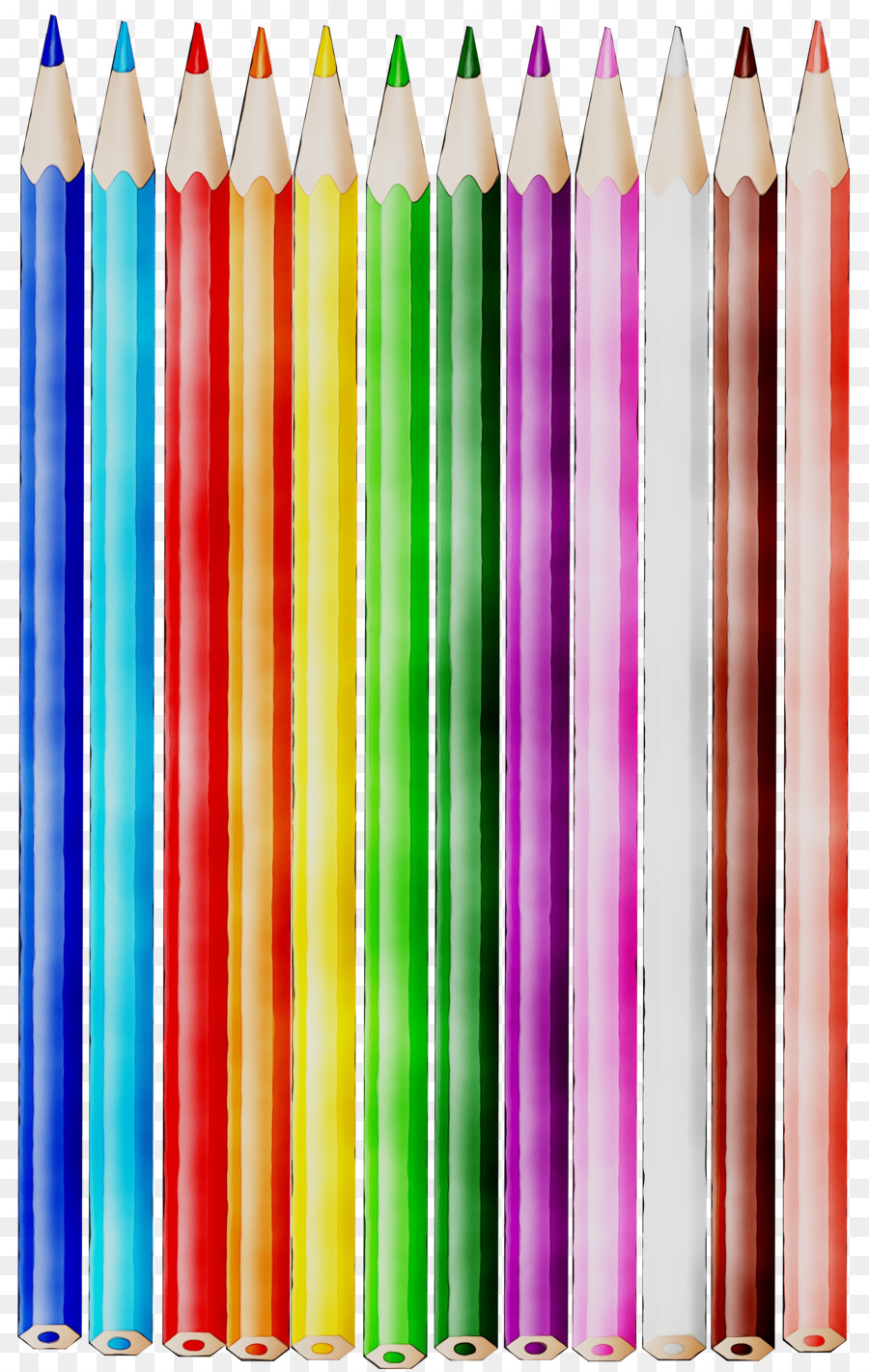 Crayon Pencil Product -  png download - 4381*6899 - Free Transparent Crayon png Download.