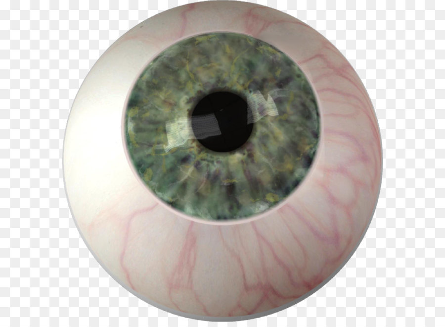 Iris Eye color Ocular prosthesis - Eye PNG png download - 1604*1603 - Free Transparent  png Download.