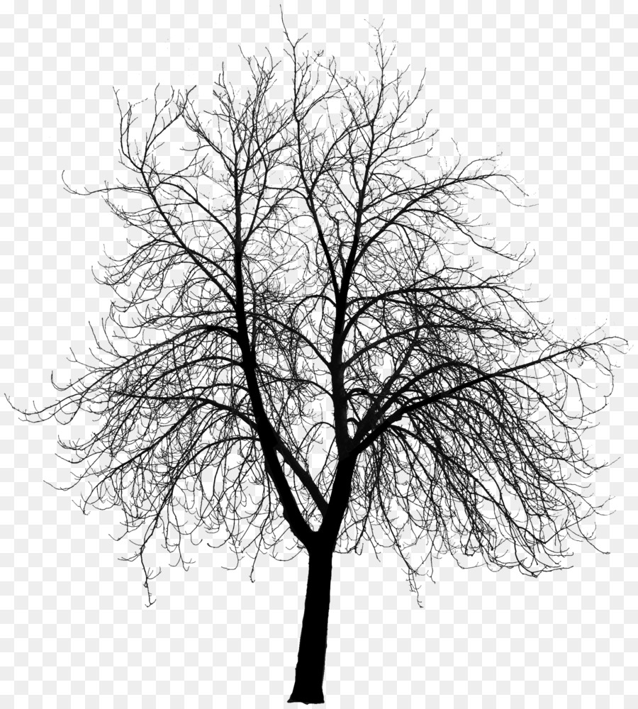 Tree Silhouette Clip art - Trees Silhouette png download - 1800*2000 - Free Transparent Tree png Download.