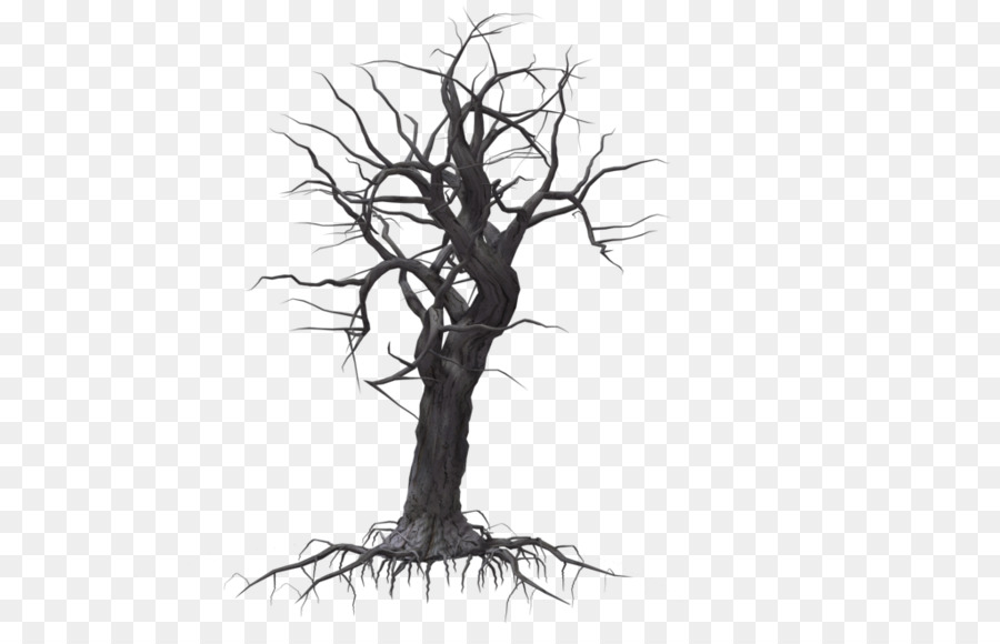 Tree Woody plant Drawing - creepy png download - 1024*639 - Free Transparent Tree png Download.