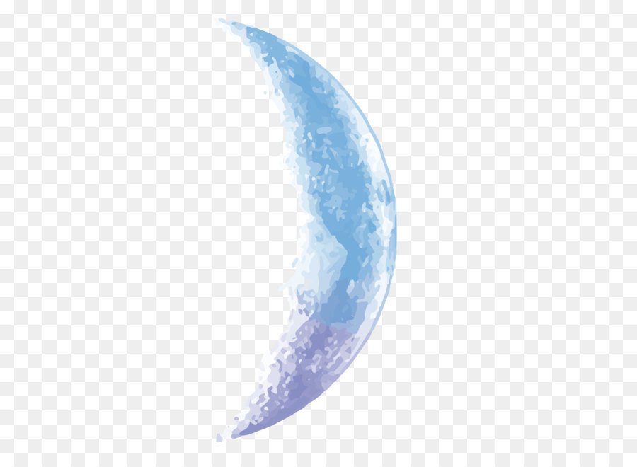 Moon Euclidean vector - Vector sky blue half moon png download - 1501*1500 - Free Transparent Sky png Download.