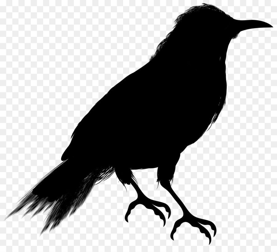 Crow Clip art Vector graphics Silhouette Image -  png download - 3000*2693 - Free Transparent Crow png Download.