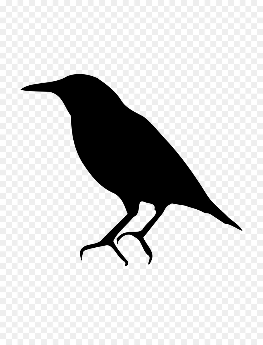 Bird Common starling American crow Silhouette - birds silhouette png download - 1855*2400 - Free Transparent Bird png Download.