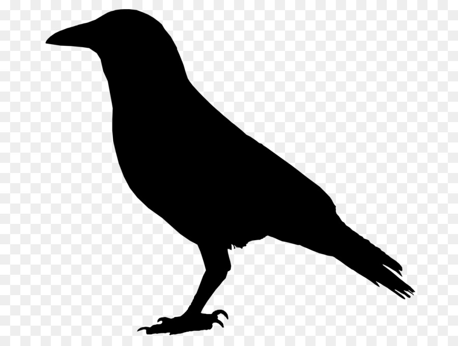 American crow Common raven Clip art - crow png download - 768*674 - Free Transparent American Crow png Download.