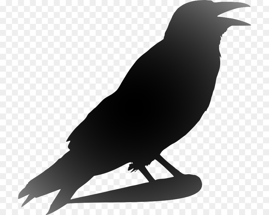 Clip art Openclipart Crow Image Portable Network Graphics - crow png download - 780*720 - Free Transparent Crow png Download.