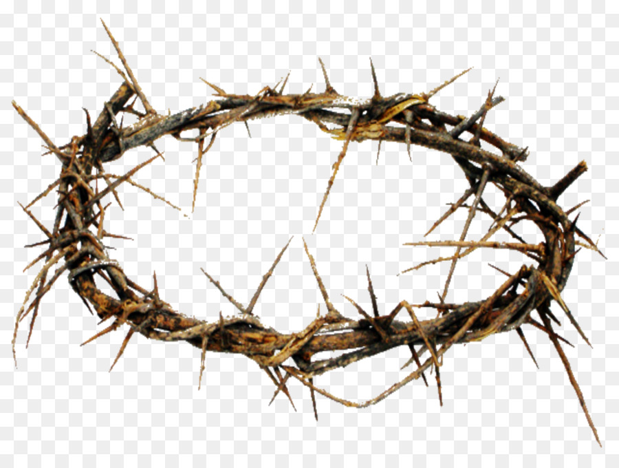 Crown of thorns Thorns, spines, and prickles Christianity Crucifixion of Jesus - jesus easter png download - 2942*2171 - Free Transparent Crown Of Thorns png Download.