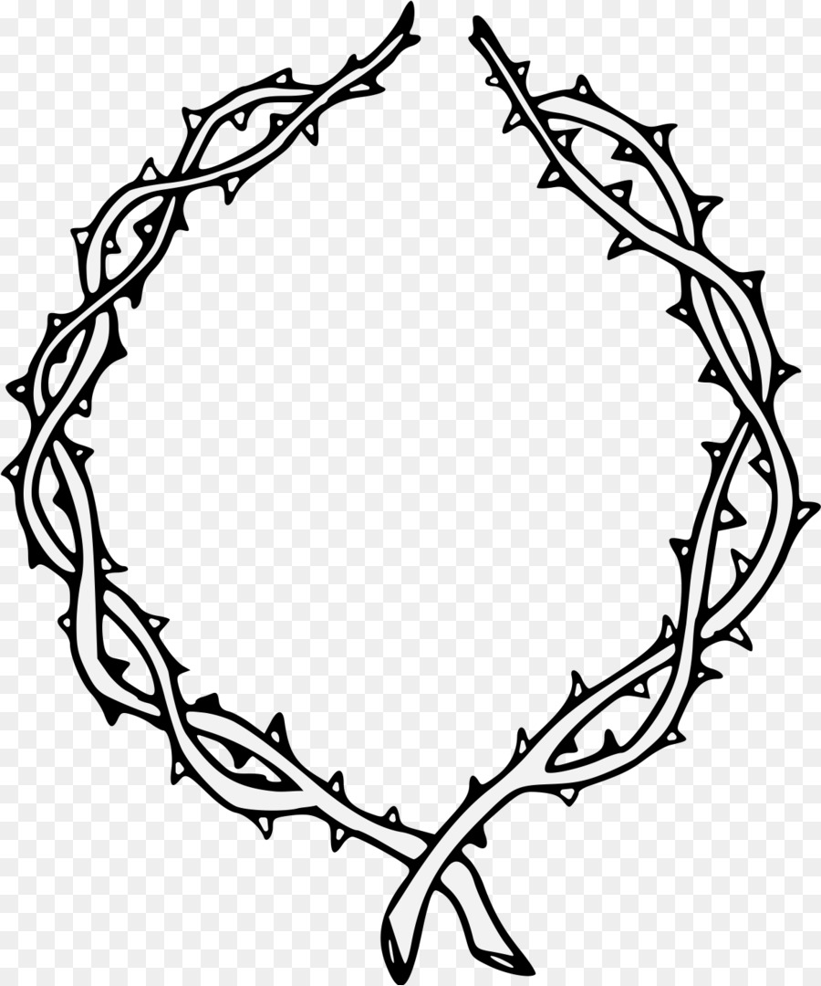 Drawing Thorns, spines, and prickles Clip art Illustration Image - crown of thorns png espinas png download - 1220*1463 - Free Transparent Drawing png Download.