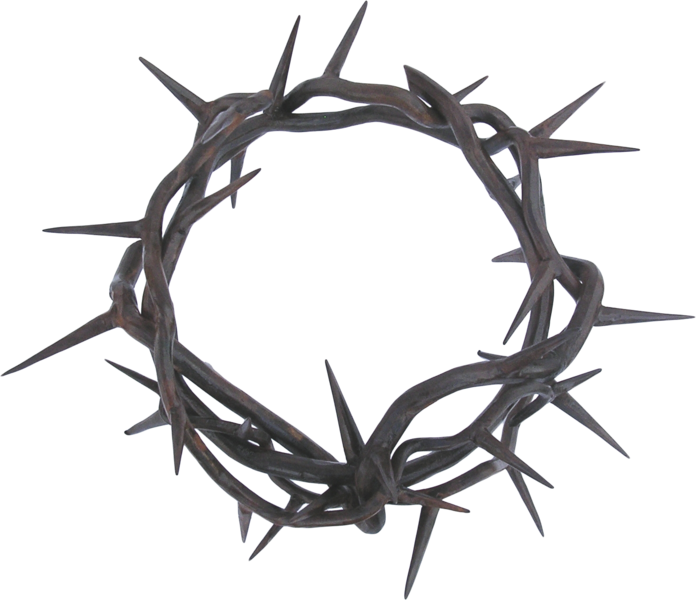 Crown of thorns Thorns, spines, and prickles Clip art - others png ...