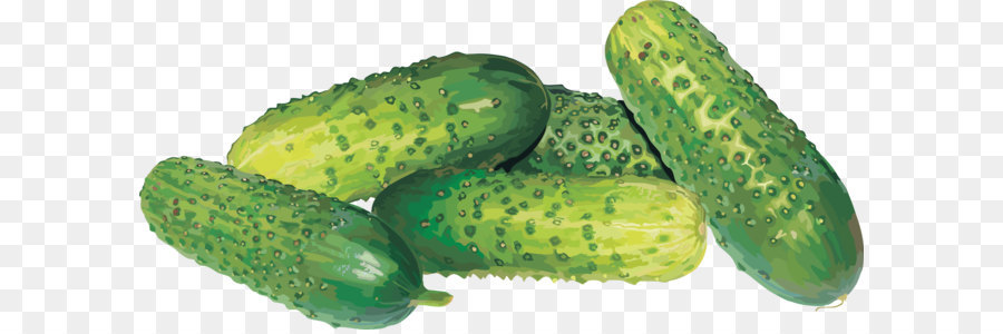 Pickled cucumber - Cucumbers PNG png download - 3728*1697 - Free Transparent Cucumber png Download.