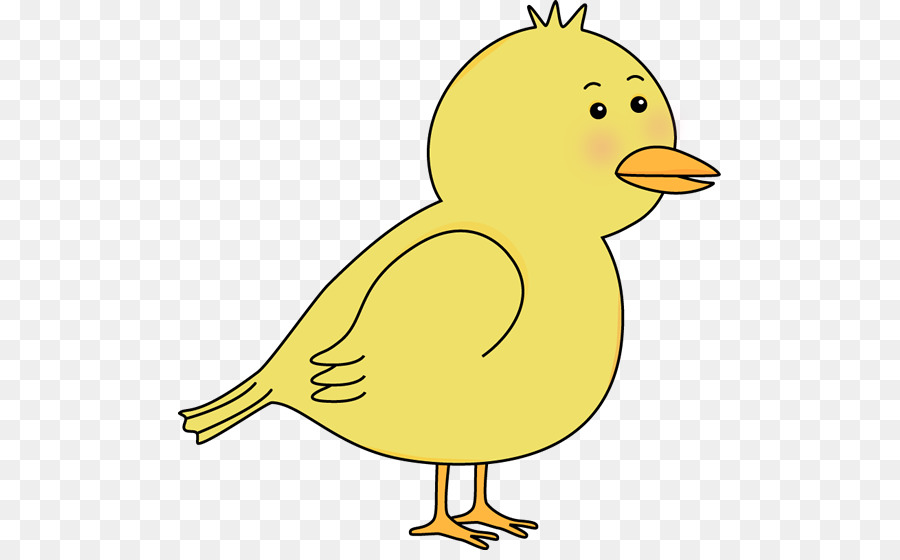 Duck Cartoon Yellow Clip art - Cute Bird Clipart png download - 543*550 - Free Transparent Duck png Download.