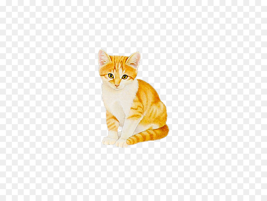 Cat Kitten Animation - Beautiful cute cat png download - 485*665 - Free Transparent Cat png Download.