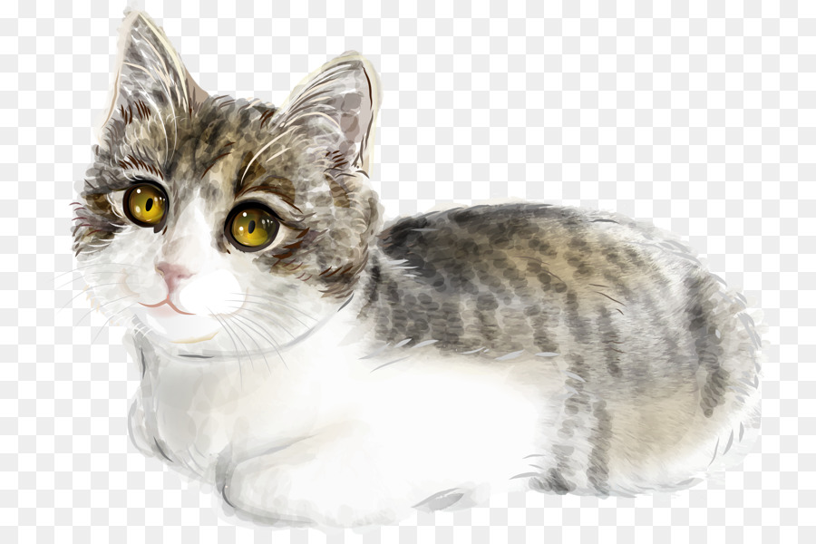 Cat Kitten Illustration - Cute cat png download - 800*590 - Free Transparent Cat png Download.