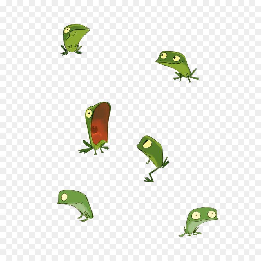 Frog Drawing Model sheet Illustration - Cute little frog png download - 736*887 - Free Transparent Frog png Download.