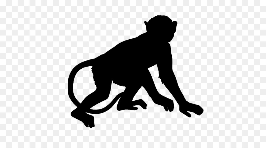 Monkey Royalty-free Drawing - monkey png download - 500*500 - Free Transparent Monkey png Download.