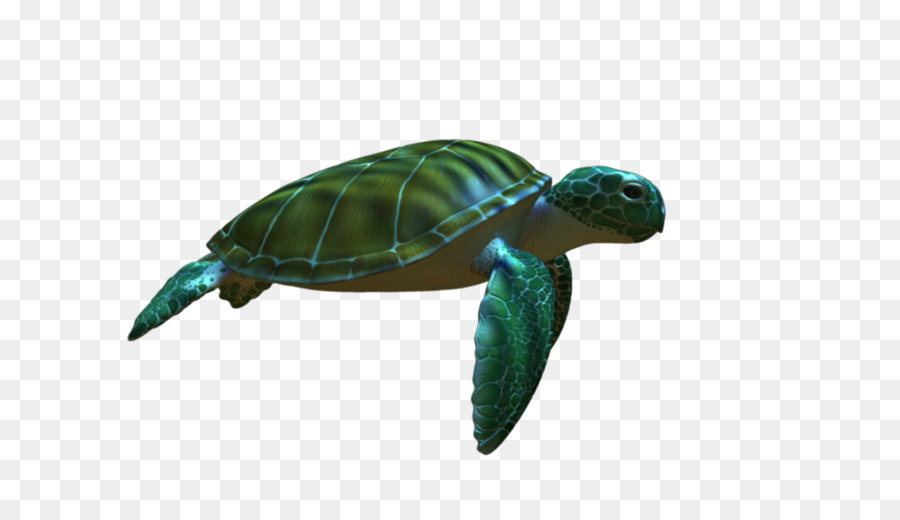 Green sea turtle Animation - turtle png download - 960*540 - Free Transparent Turtle png Download.