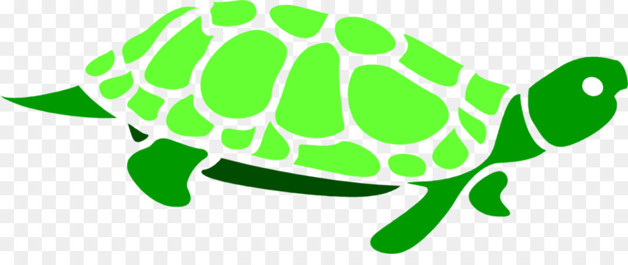 Green sea turtle Clip art - Green Turtle Cliparts png download - 958*387 - Free Transparent Turtle png Download.