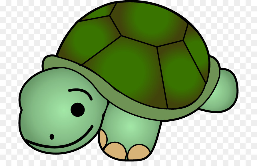 Sea turtle Clip art - Cute Turtle Clipart png download - 772*565 - Free Transparent Turtle png Download.