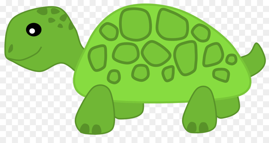 Turtle Herbivore Clip art - Cute Turtle PNG Transparent Image png download - 1969*1020 - Free Transparent Turtle png Download.