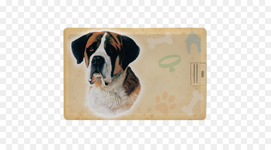 Dog breed St. Bernard Puppy Labrador Retriever Boxer - puppy png download - 500*500 - Free Transparent Dog Breed png Download.