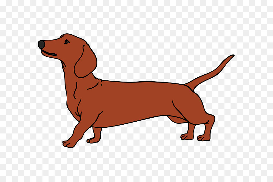 Dachshund Vector graphics Dog breed Puppy Illustration - brown dogs png dachshund png download - 800*600 - Free Transparent Dachshund png Download.