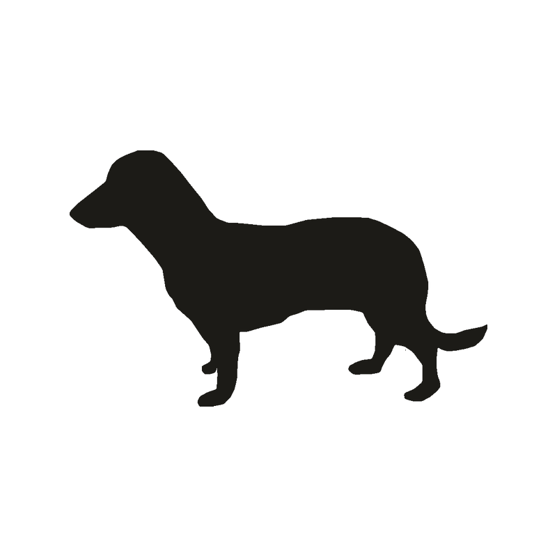 Miniature Dachshund Puppy Vector graphics Dog breed - puppy png ...