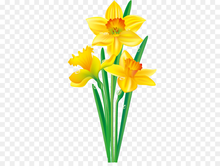 Daffodil Flower Drawing Clip art - Floral border design png download - 382*666 - Free Transparent Daffodil png Download.